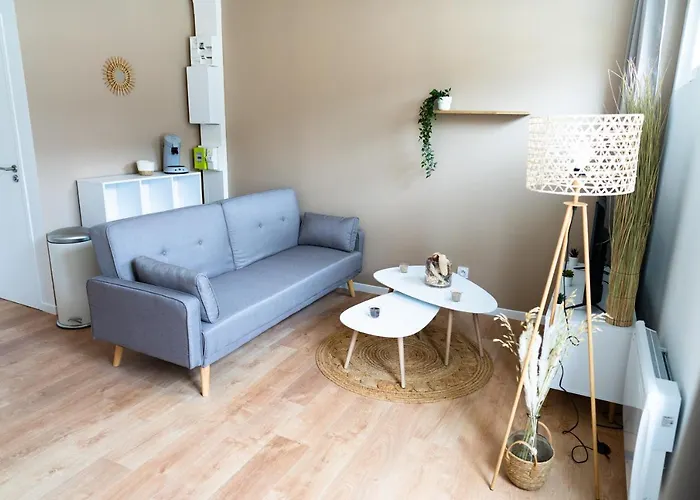 Appartement Confort Avec Parking Prive A Saumur