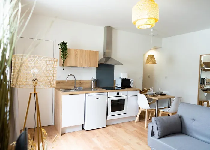 Appartement Confort Avec Parking Prive A Saumur